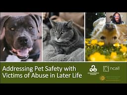 Addressing Pet Safety with Victims of Abuse in Later Life