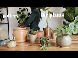 Plant diaries | thrifted pottery plant pots, repotting & plant care