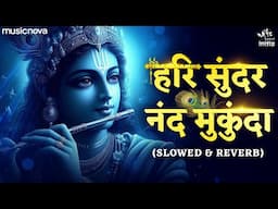 Hari Sundar Nand Mukund - Krishna Bhajan Lofi | हरि सुंदर नंद मुकुंदा | Bhakti Song | Bhajan Songs