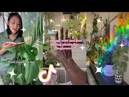 Planttok 🌱 Part 20 🌱  tiktok compilation