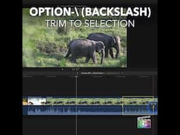 Final Cut Pro Shortcut | Option-\ (Backslash) | Trim to Selection