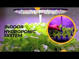 Smart Indoor Hydroponics System | LetPot Automated Hydroponic Farming At home.