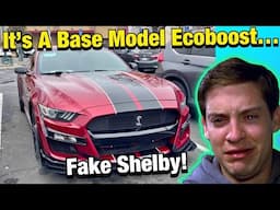 "uLtRa RaRe EcObOoSt ShElBy Gt500!!!"  - Facebook Marketplace Finds