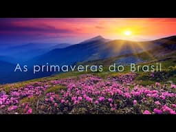 Sessão virtual - As Primaveras do Brasil