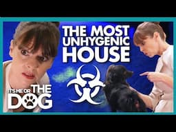 Victoria Disgusted by 'Most Unhygienic House' She's Ever Seen | It's Me or the Dog