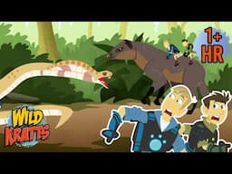 Creature Combat | Cobra Vs Mongoose | Wild Kratts