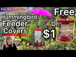 FREE DIY or Cheap Hummingbird Feeder Cover for Rain / Shade Hummingbirds LOVE & How to Make Nectar