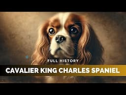 Cavalier King Charles Spaniel - Full History