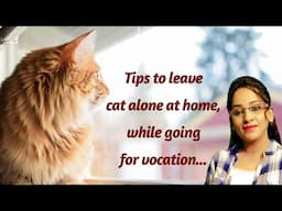 Tips to leave cat home alone , while going vocation