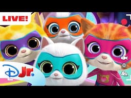 🔴 LIVE! SuperKitties Shorts 🐱🩵 | Including Bitsy's Vlogs and MORE! | NEW LIVESTREAM | @disneyjr