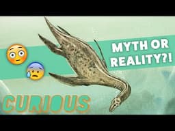 Curious: The Search for Answers - Loch Ness Monster Exploration