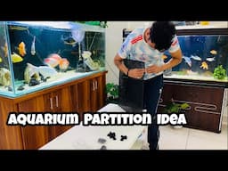 Aquarium Partition | How to separate fish in Aquarium | Aquarium Divider