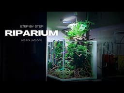 How to Build a Riparium | Step By Step Tutorial | No Co2