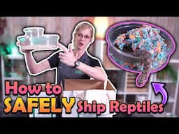 How to Ship Reptiles! (New Version)