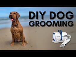 The DIY Pet Grooming Kit That Actually Works