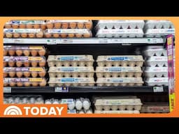 Trader Joe's, Costco, other retailers put limit on egg purchases