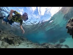 Snorkeling Sharks Cove, North Shore of Oahu. 10/2024