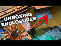 Unboxing 6 New Tarantula Enclosures