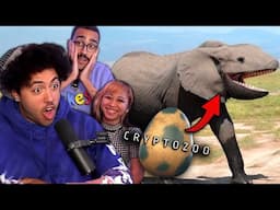 Cryptozoo Looks Terrible (ft. Jordan Adika & bbsmols)