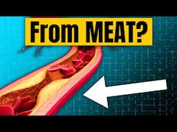 Does Fatty Meat Really Clog Your Arteries?