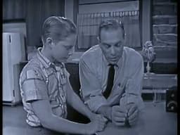 How The Blood Circulates-Watch Mr.Wizard-1962