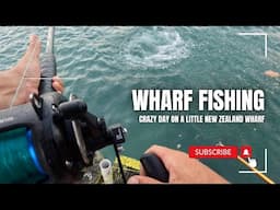 Wharf Fishing Mayhem!!