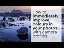 How to immediately improve colours in your photos with camera profiles