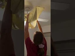 Mess-Free Way to Clean Your Ceiling Fan