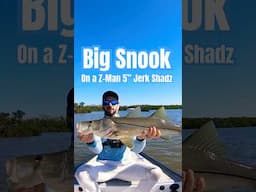 The BEST lure for BIG SNOOK! 🎣 #fishing #fishingvideo #snook