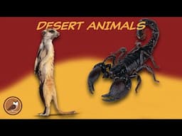 Animals of the Desert Biome🐪 Camel, Tortoise, Gila Monster, Fennec Fox...