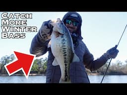 Don't Overlook this KILLER COLD WATER BAIT!!