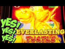 ONE GOOD TURTLE!! 🐢 EVERLASTING TURTLE Slot Machine (IGT)