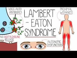 Understanding Lambert-Eaton Myasthenic Syndrome (LEMS Explained)