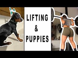 WHAT MY TRAINING IS LIKE & NEW PUPPY! | Chasing Health ep.3