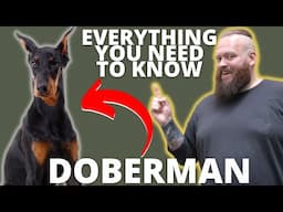 3 FASCINATING FACTS ABOUT THE DOBERMAN