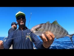 Ilha de Âncora - Búzios - Pitangas e muito Peixe - Guia de Pesca Leogafanha