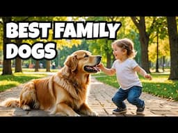 Top 10 Family-Friendly Dog Breeds 2025