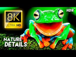 Explore Nature’s Finest Details in 8K HDR Dolby Vision™