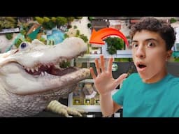 THE WORLD’S BEST ALLIGATOR ZOO  (Florida Series EP.2)