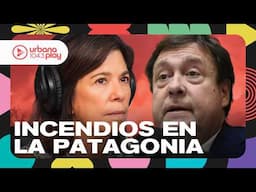 "Es una sucesión de hechos intencionales": Alberto Weretilneck sobre los INCENDIOS EN LA PATAGONIA