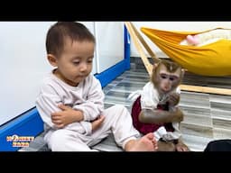 Collection of the best videos of Monkey Kaka and baby Diem #2