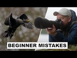 Take Awesome Wildlife Photos As A BEGINNER - Just Fix These Mistakes!