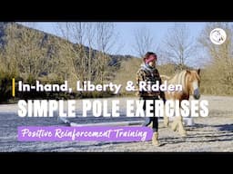 Versatile & Simple Pole Exercise for Your Horse In-hand, Liberty and Ridden