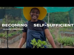 We failed to grow enough food in 2024 | Millennial Homesteader | South African Farm