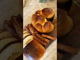 breads or dogs #ai #puppies #petsofinstagram #puppy #puppyvideos  #puppydog  #puppets #petsvlog