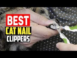 ✅Top 5 Best Cat Nail Clippers in 2025