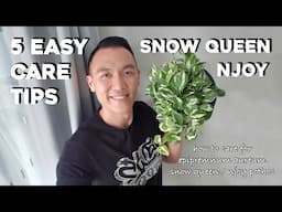 How to care for Epipremnum Aureum Snow Queen / Njoy Pothos | 5 Easy Care Tips in 8 Minutes!