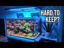 Keeping A Saltwater Aquarium Is EASY! Reef Tank Maintenance