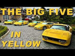 I Collected the Big Five Ferrari's in YELLOW!