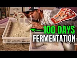 I Fermented 100 Days a Pizza Dough, Result Shocked me